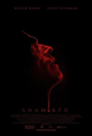 Anamorph (2007) แกะรอยล่าฆาตกรโหด