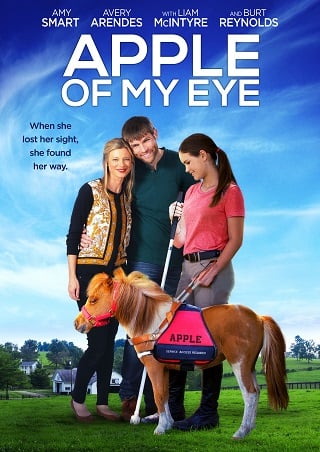 Apple of My Eye (2017) บรรยายไทย