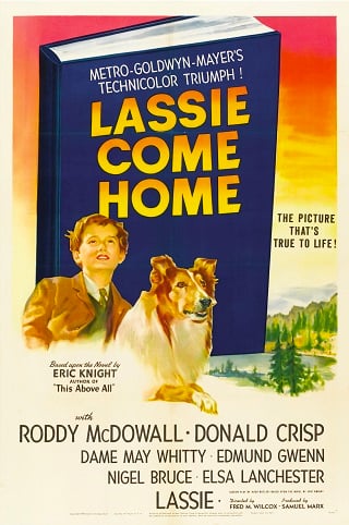 Lassie Come Home (1943) บรรยายไทย
