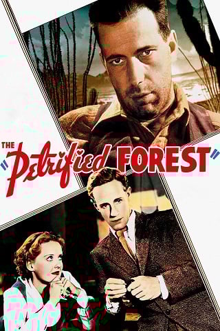 The Petrified Forest (1936) บรรยายไทย